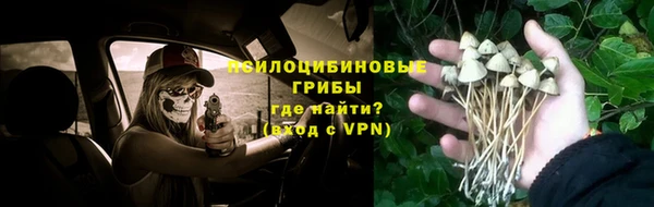 метадон Армянск