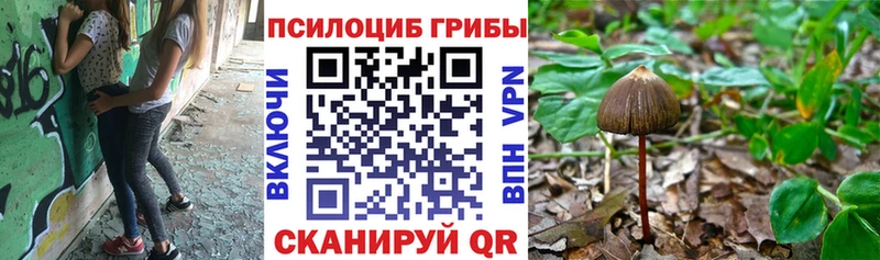 Галлюциногенные грибы ЛСД  гидра как войти  Грязовец 