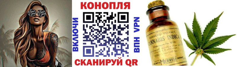 Бошки марихуана Bruce Banner  закладка  Грязовец 